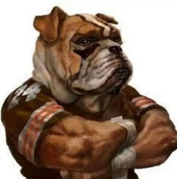cgarmatter